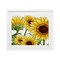 Stupell Industries Rustic Bloom Sunflowers Framed Print Under Glass, design by Kim Allen